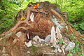 DSC08522 - Bernhard Saalfeld