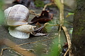 DSC08523 - Bernhard Saalfeld