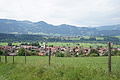 DSC08536 - Bernhard Saalfeld