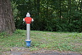 DSC08542 - Bernhard Saalfeld
