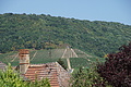 DSC08550 - Bernhard Saalfeld