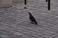 DSC08586 - Bernhard Saalfeld
