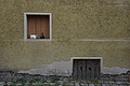 DSC08593 - Bernhard Saalfeld