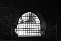L1002654 - Bernhard Saalfeld