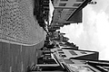 L1002658 - Bernhard Saalfeld
