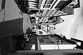 L1002667 - Bernhard Saalfeld