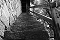 L1002705 - Bernhard Saalfeld