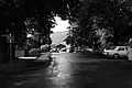 L1002709 - Bernhard Saalfeld
