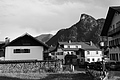 L1002712 - Bernhard Saalfeld