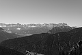 L1002740 - Bernhard Saalfeld