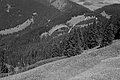 L1002802 - Bernhard Saalfeld