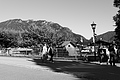 L1002808 - Bernhard Saalfeld