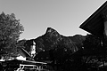 L1002813 - Bernhard Saalfeld