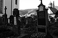 L1002820 - Bernhard Saalfeld