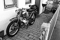 L1002826 - Bernhard Saalfeld