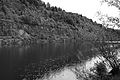 L1002890 - Bernhard Saalfeld