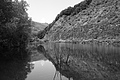 L1002892 - Bernhard Saalfeld