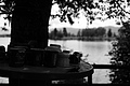L1002901 - Bernhard Saalfeld