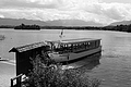 L1002903 - Bernhard Saalfeld