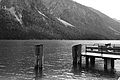 L1002904 - Bernhard Saalfeld