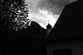 L1002909 - Bernhard Saalfeld