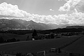 L1002916 - Bernhard Saalfeld
