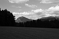 L1002920 - Bernhard Saalfeld