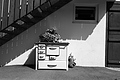 L1002922 - Bernhard Saalfeld
