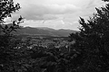 L1002975 - Bernhard Saalfeld