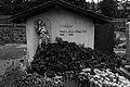L1002976 - Bernhard Saalfeld