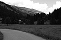 L1003006 - Bernhard Saalfeld