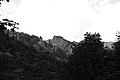 L1003010 - Bernhard Saalfeld