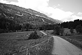 L1003018 - Bernhard Saalfeld
