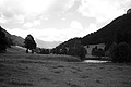 L1003031 - Bernhard Saalfeld