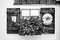 L1003035 - Bernhard Saalfeld