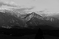 L1003048 - Bernhard Saalfeld