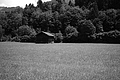 L1003057 - Bernhard Saalfeld