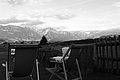 L1003061 - Bernhard Saalfeld
