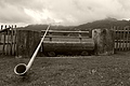 L1003077 - Bernhard Saalfeld