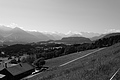 L1003079 - Bernhard Saalfeld