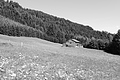 L1003080 - Bernhard Saalfeld