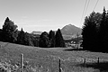 L1003081 - Bernhard Saalfeld