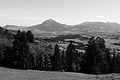 L1003082 - Bernhard Saalfeld