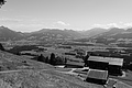 L1003085 - Bernhard Saalfeld