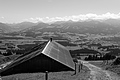 L1003086 - Bernhard Saalfeld