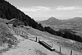 L1003087 - Bernhard Saalfeld
