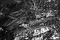 L1003089 - Bernhard Saalfeld