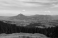 L1003090 - Bernhard Saalfeld