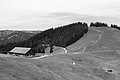 L1003091 - Bernhard Saalfeld