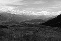 L1003093 - Bernhard Saalfeld